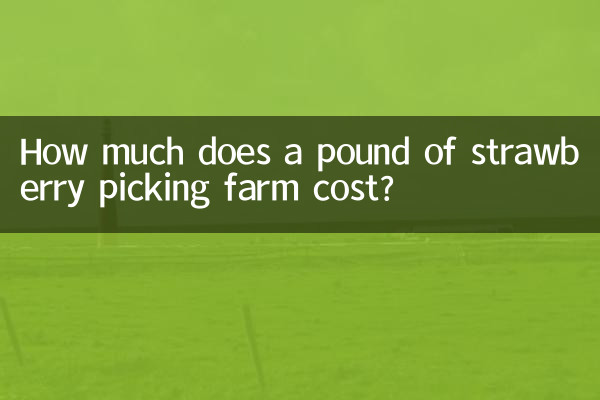 Quanto costa un chilo di azienda agricola di raccolta delle fragole?