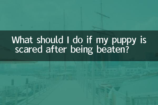 اگر میرے کتے کو مار پیٹ کے بعد خوفزدہ ہو تو مجھے کیا کرنا چاہئے؟