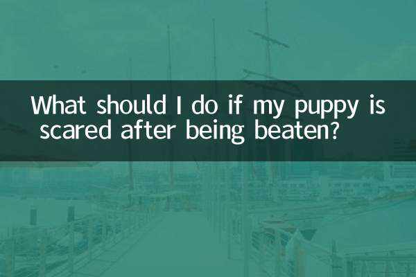 اگر میرے کتے کو مار پیٹ کے بعد خوفزدہ ہو تو مجھے کیا کرنا چاہئے؟