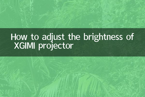 XGIMI 프로젝터의 밝기를 조정하는 방법