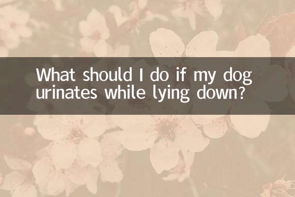 Cosa devo fare se il mio cane urina mentre è sdraiato?