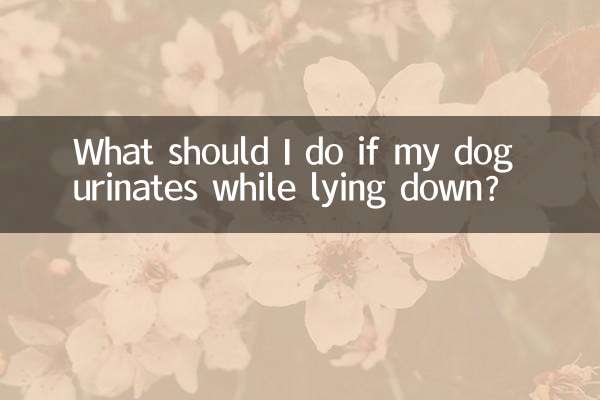 狗狗躺着流尿怎么办