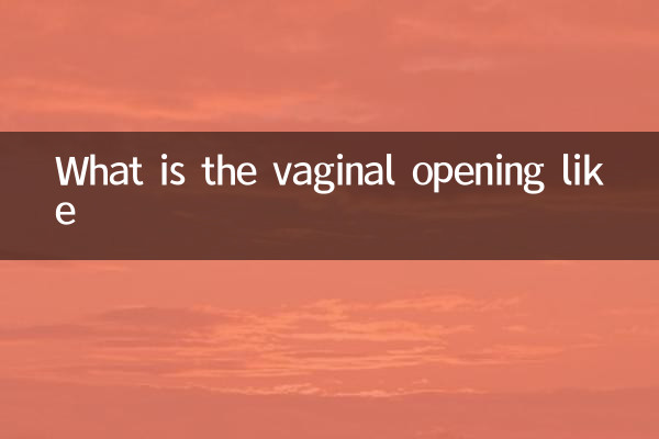 ¿Cómo es la apertura vaginal?