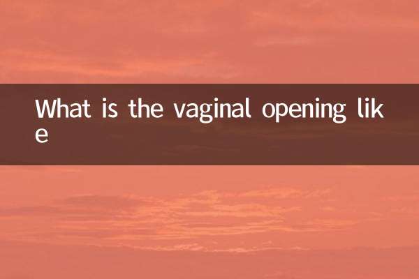 ¿Cómo es la apertura vaginal?