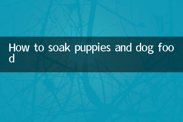 How to soak puppies and dog food