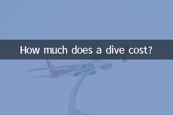 How much does a dive cost?