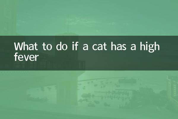 猫咪发高烧怎么办