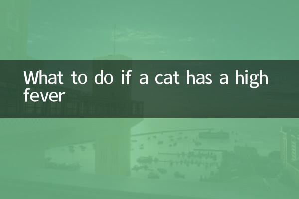 猫咪发高烧怎么办