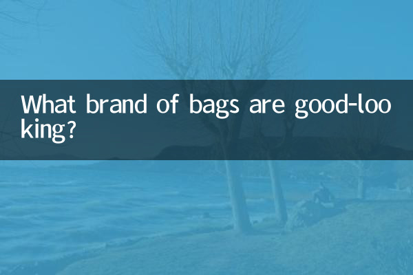 Que marca de bolsas é bonita?