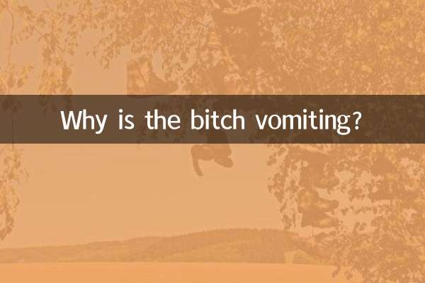 ¿Por qué vomita la perra?