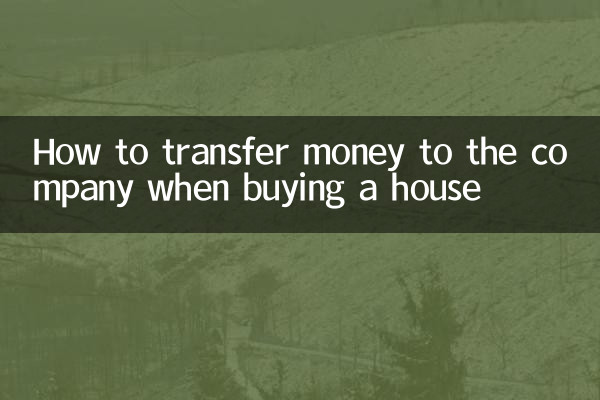 Come trasferire denaro alla società quando si acquista una casa