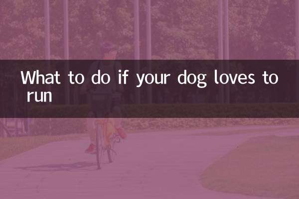 개가 달리기를 좋아한다면 어떻게 해야 할까요?