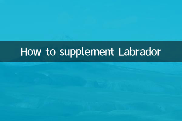 Como suplementar o Labrador