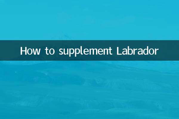 نحوه مکمل لابرادور