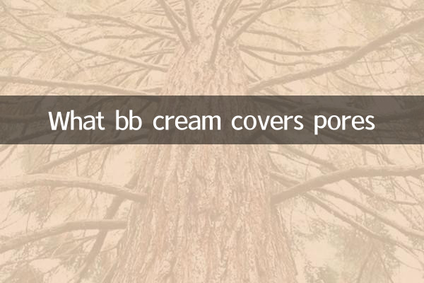 What bb cream covers pores