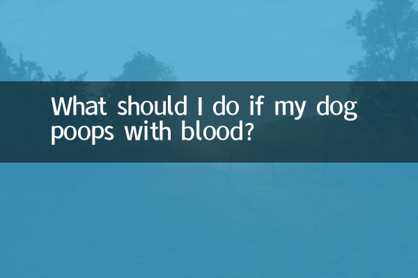 O que devo fazer se meu cachorro fizer cocô com sangue?