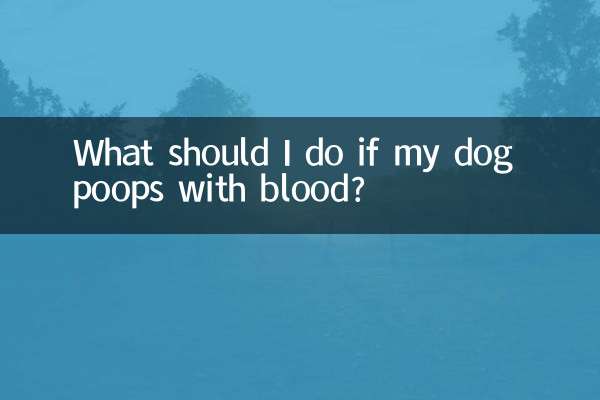 O que devo fazer se meu cachorro fizer cocô com sangue?