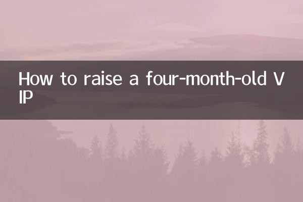 Come allevare un VIP di quattro mesi