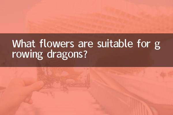 ¿Qué flores son adecuadas para el cultivo de dragones?