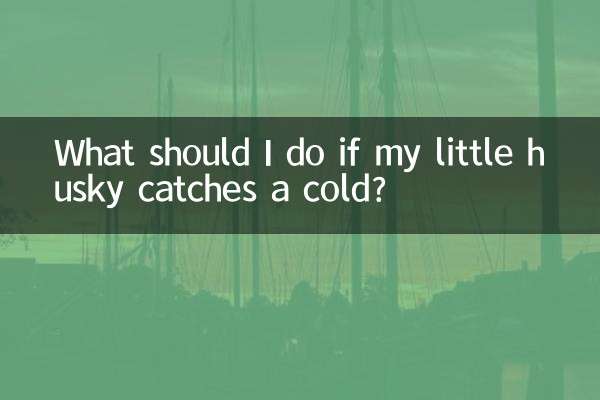 ¿Qué debo hacer si mi pequeño husky se resfría?