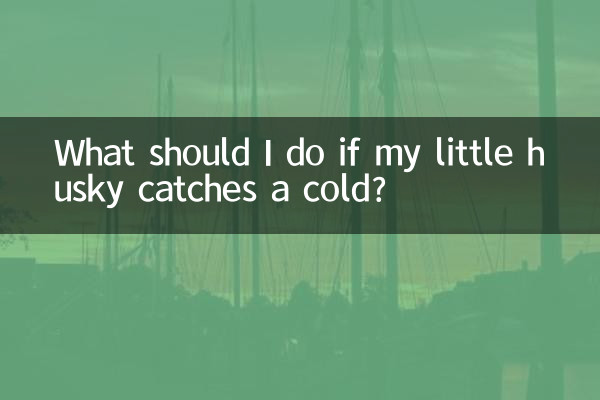¿Qué debo hacer si mi pequeño husky se resfría?