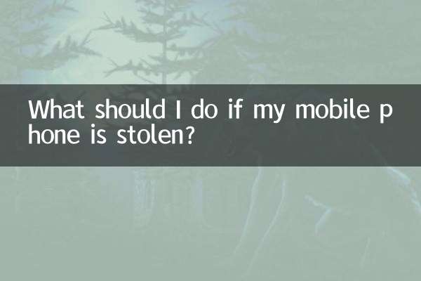 ماذا يجب أن أفعل إذا سُرق هاتفي المحمول؟