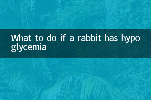 ウサギが低血糖症になった場合の対処法