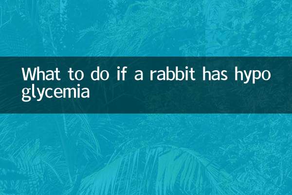 ウサギが低血糖症になった場合の対処法