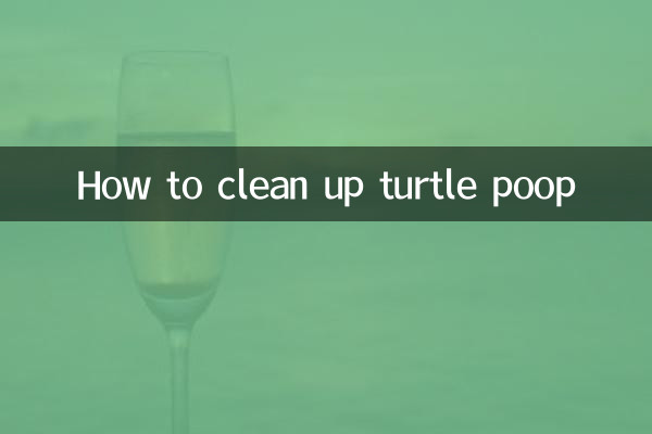 How to clean up turtle poop
