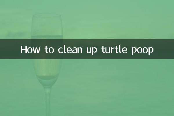 How to clean up turtle poop
