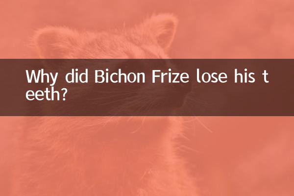 比熊掉牙怎麼回事