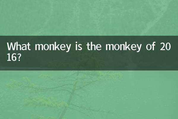What monkey is the monkey of 2016?