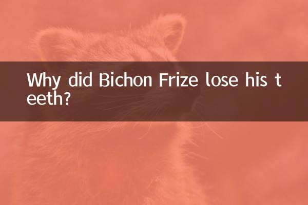 比熊掉牙怎麼回事