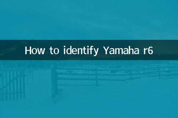 怎么辨别雅马哈r6