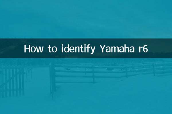 怎么辨别雅马哈r6