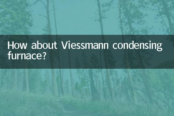 ماذا عن فرن التكثيف Viessmann؟