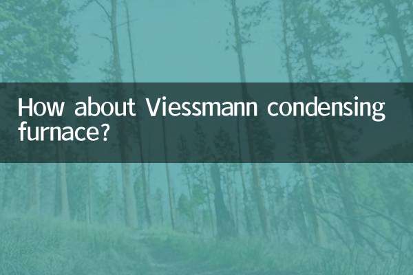 Viessmann 응축로는 어떻습니까?