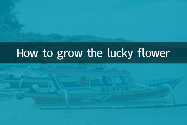 چگونه گل خوش شانس را پرورش دهیم