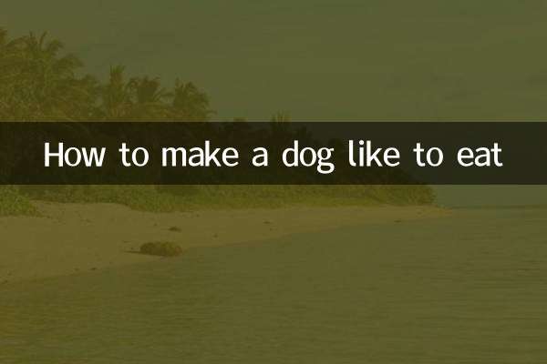How to make a dog like to eat