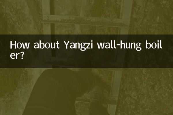 Che ne dici della caldaia murale Yangzi?