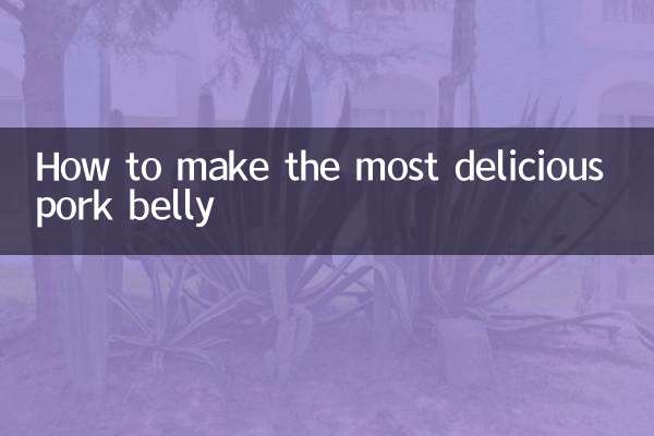 一番美味しい豚バラ肉の作り方