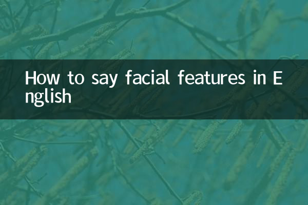 Как сказать черты лица по-английски