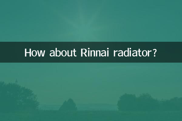 Che ne dici del radiatore Rinnai?