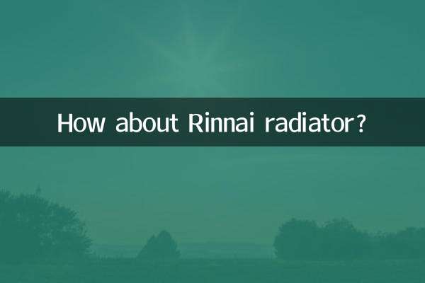 Che ne dici del radiatore Rinnai?