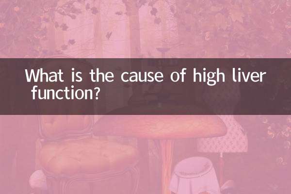 Was ist die Ursache für eine hohe Leberfunktion?