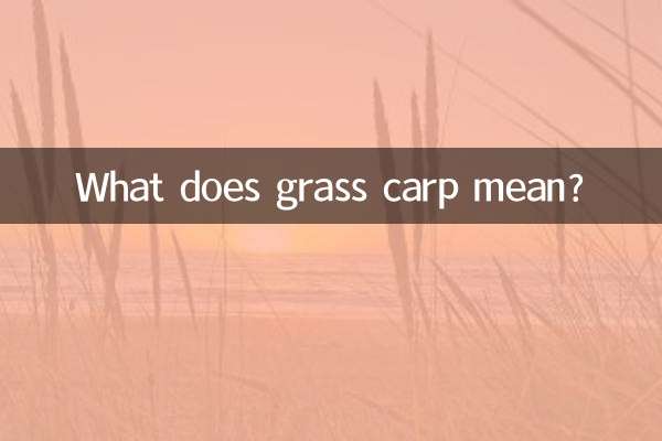 풀 잉어는 무엇을 의미합니까?