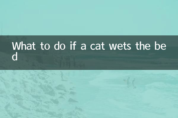 Что делать, если кот обмочился в постель
