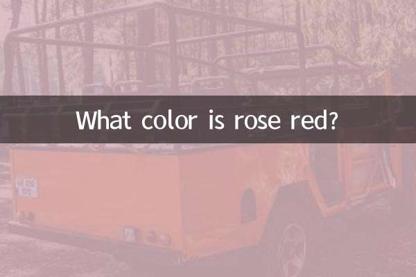 玫瑰红是什么颜色的