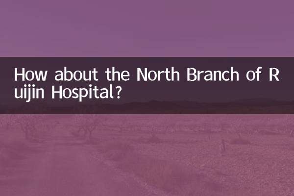 А как насчет северного отделения больницы Жуйджин?