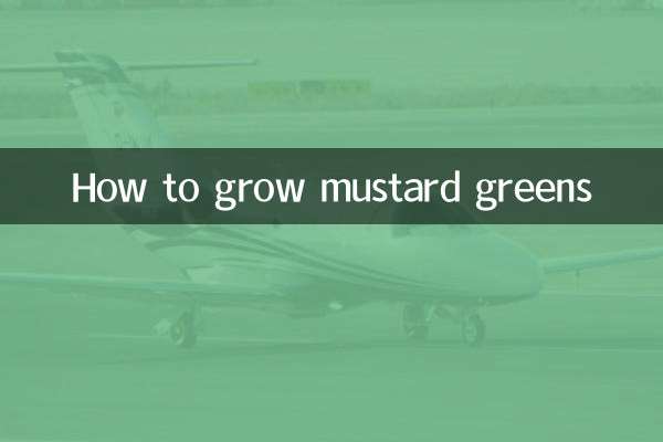 কীভাবে সরিষার শাক বাড়ানো যায়